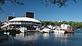 Dows Lake at summer by Wilder