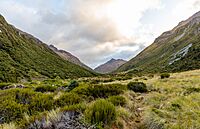 Edwards Valley, Arthur's Pass National Park, New Zealand 09.jpg