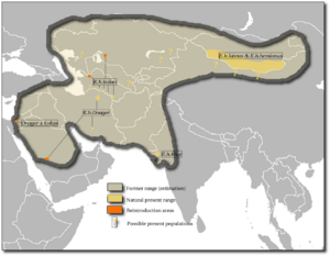Equus hemionus map.png