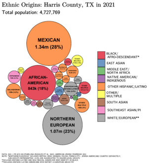 Ethnic Origins in Harris County, TX