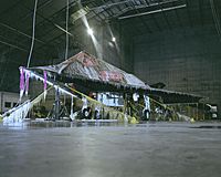 F-117 on ice at McKinley Climatic Laboratory 022808-F-0000P-064