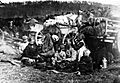 Fellman's field refugees