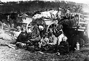 Fellman's field refugees