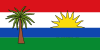 Flag of Hato Corozal