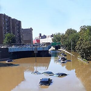 Flooding in the Bronx (51419989351)