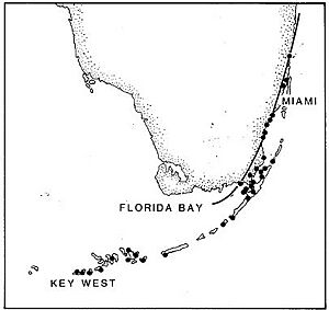 Gambusia rhizophorae populations in Florida showing 17 degree winter isotherm (Charles Getter field data)