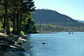 Geese on North Tahoe Beach in the morning, Tahoe Vista, 2011