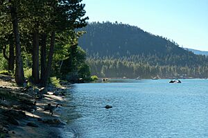 Geese on North Tahoe Beach in the morning, Tahoe Vista, 2011.jpg