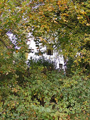Hidden Windmill (geograph 5571341)