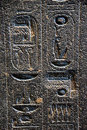 Hieroglyphs on the backpillar of Amenhotep III's statue. There are 2 places where Akhenaten's agents erased the name Amun, later restored on a deeper surface. The British Museum, London