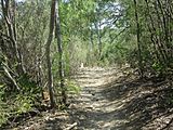 Hiking trail at Castroville, TX Regional Park IMG 3271