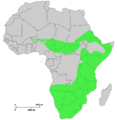Historical range (c. 1700 A.D.) of Diceros bicornis.