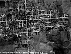 Illinois - Red Bud through Rockford - NARA - 23939939 (cropped)