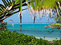 Inside the Reef Cayman