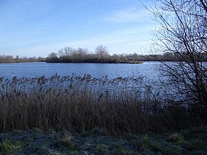 Island in Harrold Odell Country Park - geograph.org.uk - 322078