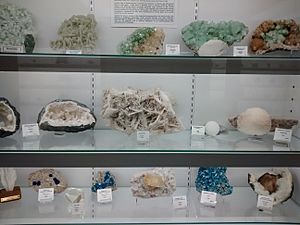 Items on display at the Mineral and Lapidary Museum