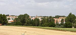 Overview of Fuentenava de Jábaga town
