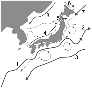 Japan's ocean currents