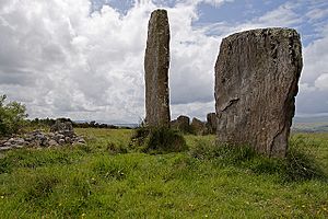 Kealkill Stone Circle - geograph.org.uk - 1392007