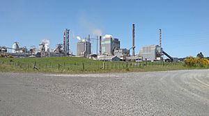 Kinleith Mill And Cogen Plant
