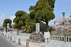 Kokubu Castle (Osumi), gaikan