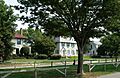Laburnum park
