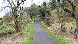 Lane to Templehouse, Dunlop, East Ayrshire