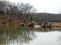 Mallows-bay-shipwreck