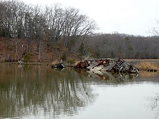 A shipwreck at Mallows Bay, February 2011