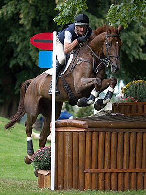 Mark Todd Major Milestone Dairy Farm Burghley 2010