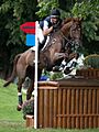 Mark Todd Major Milestone Dairy Farm Burghley 2010
