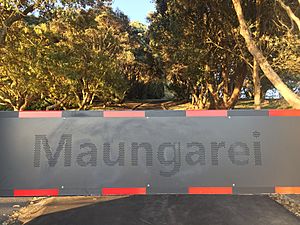 Maungarei Road Barrier