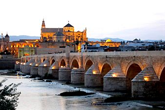Mezquita-Catedral y Puente Romano, Córdoba - panoramio