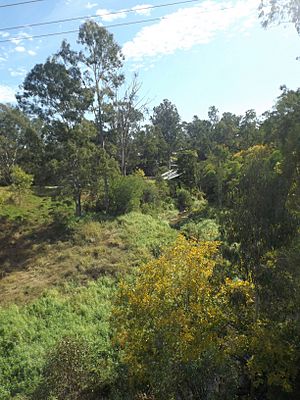 Mihi Creek Complex Brassall, Queensland.jpg
