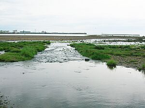 Montfode Burn & Ardrossan Beach