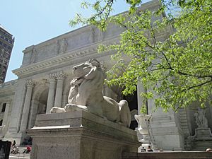 New York Public Library Lion May 2011