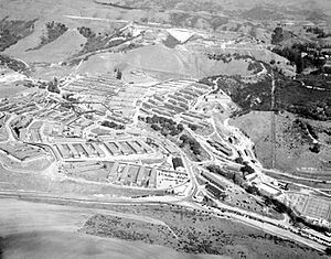 Oak-knoll