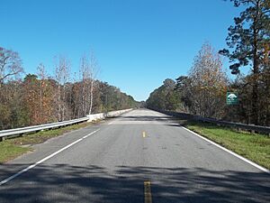 Ochlockonee River Fairbanks Ferry Bridge02