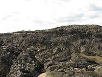 On the dark-coloured Precambrian outcrops of Ynys Feirig - geograph.org.uk - 786979