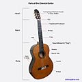 Parts of the Classical Guitar - Diagram