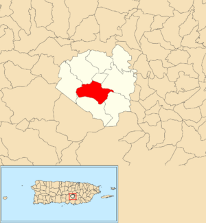 Location of Pasto within the municipality of Aibonito shown in red