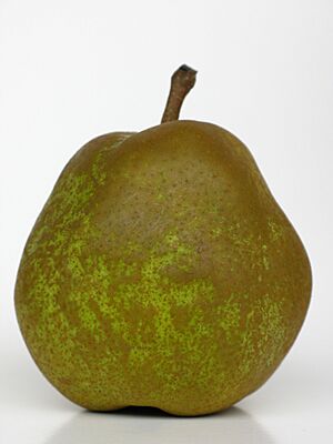 PearLaFrance