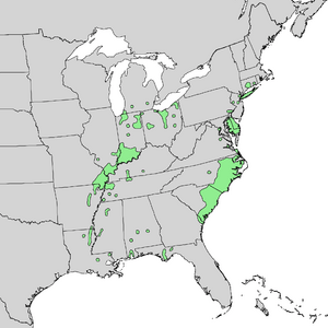 Populus heterophylla range map 1.png