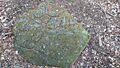 Prehistoric carving in Ecclesall Woods