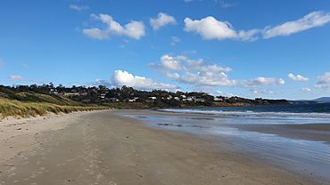 Primrose Sands bluff and beach.jpg