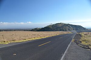 Puʻu Huluhulu - panoramio (2)