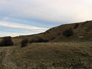Quarry, Wolstonbury Hill - geograph.org.uk - 1637884