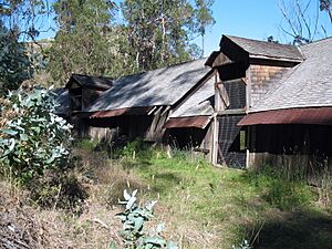 Robert Mills Dairy Barn, Higgins Purissima Rd., Half Moon Bay, CA 10-30-2011 1-11-18 PM