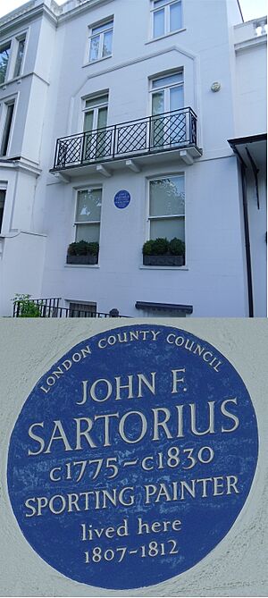 Sartorius-plaque