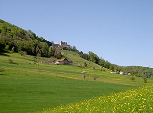 Schloss Wartenfels bei Lostorf